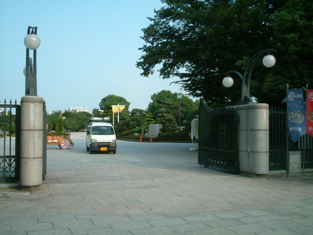 写真8