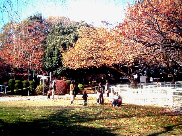 写真2