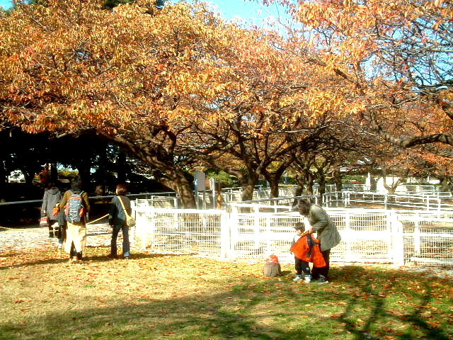 写真3
