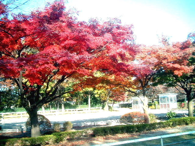 写真4
