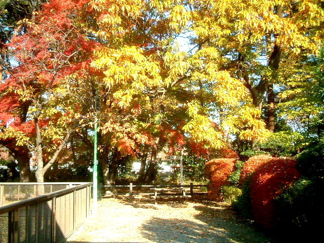 写真6