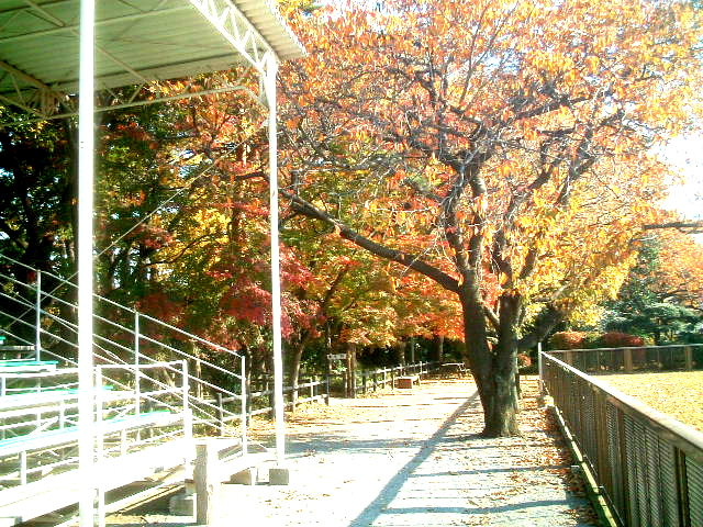 写真7
