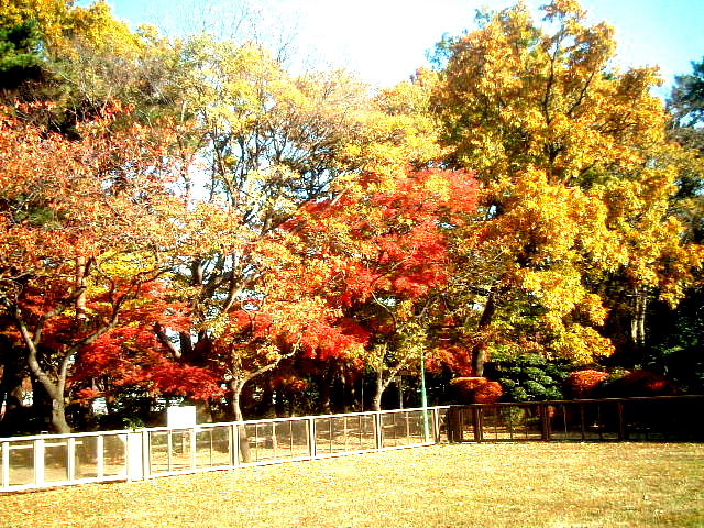 写真8