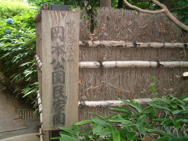 写真2