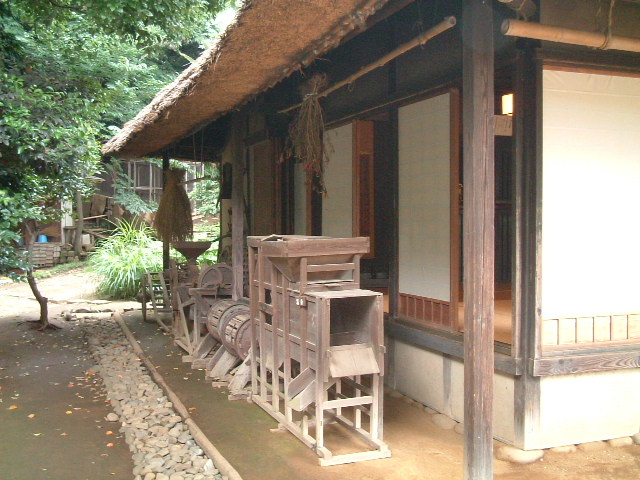 写真6