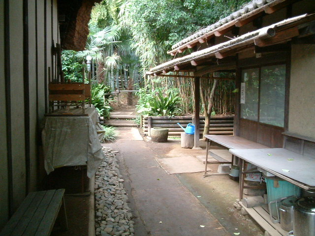 写真9