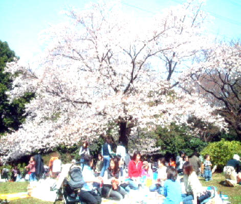 写真1