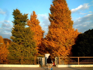 写真2