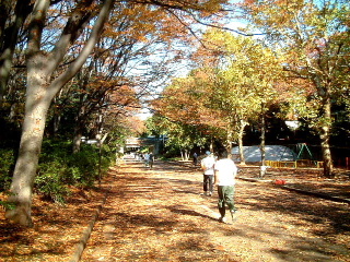 写真3