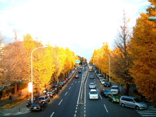 写真7
