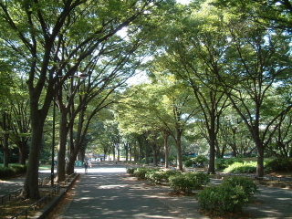 写真8