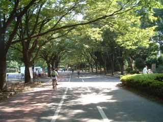 写真9