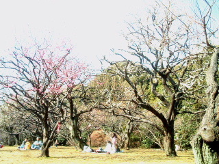 写真13