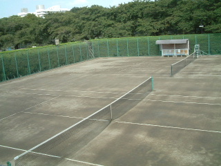 写真4