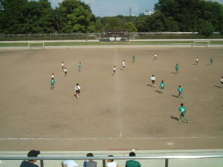 写真6