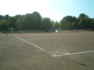 写真7