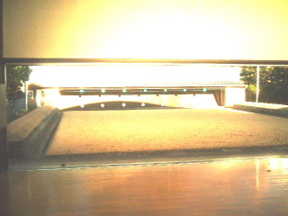 写真9
