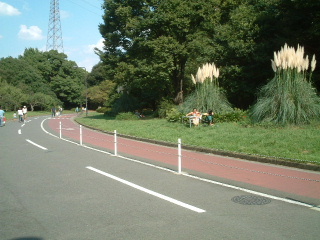 写真11