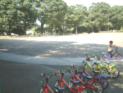 写真1