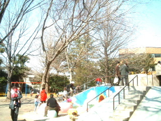 写真2