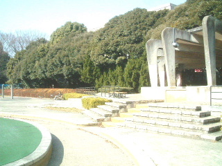 写真5
