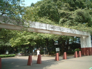 写真2