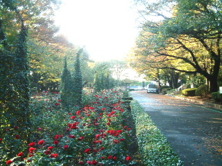 写真3