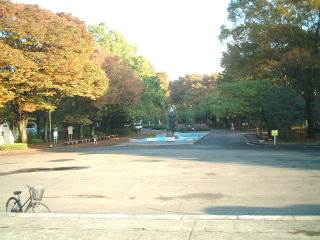 写真5