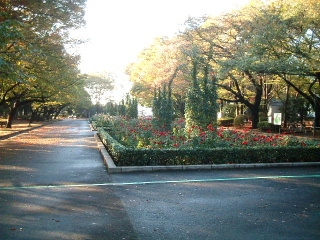 写真7