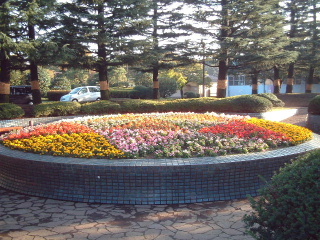 写真8