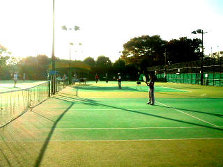 写真1