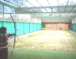写真6