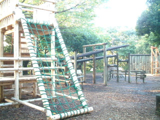 写真2
