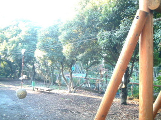 写真3