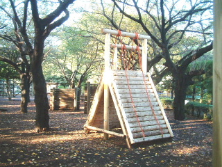 写真4