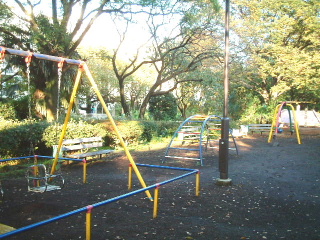 写真6