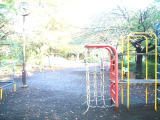 写真7