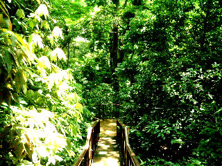 写真3