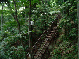 写真4
