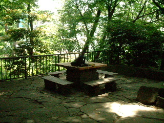 写真6