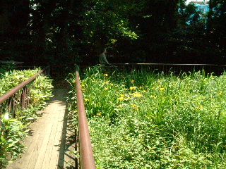 写真5