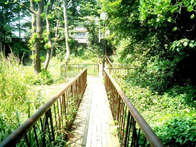 写真6