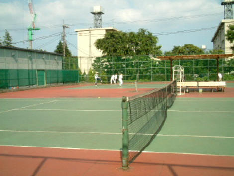 写真1