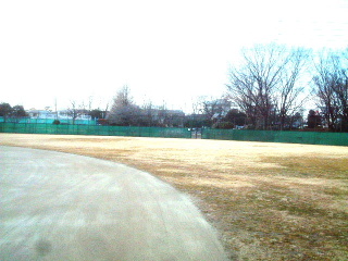 写真3