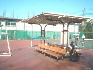 写真5
