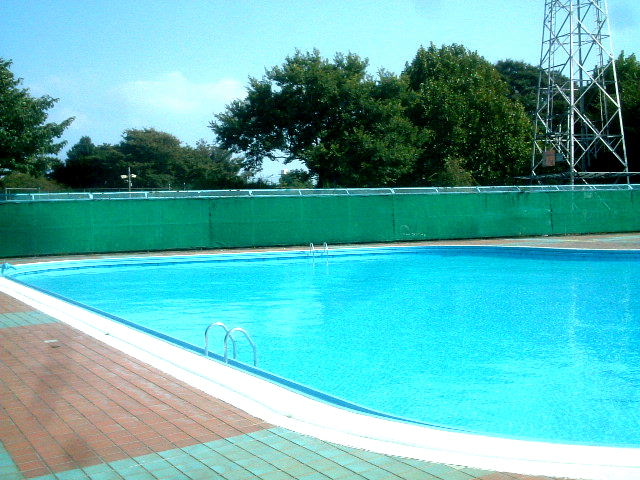 写真7