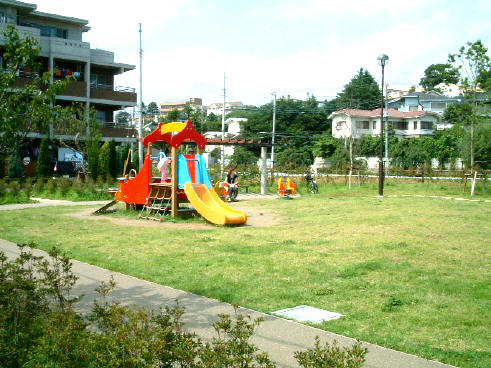 写真1