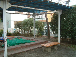写真3