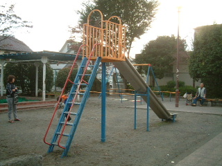 写真5