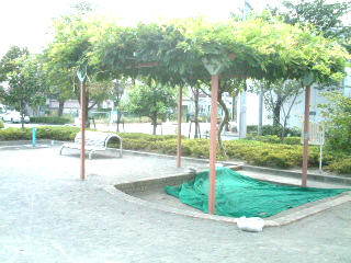 写真3